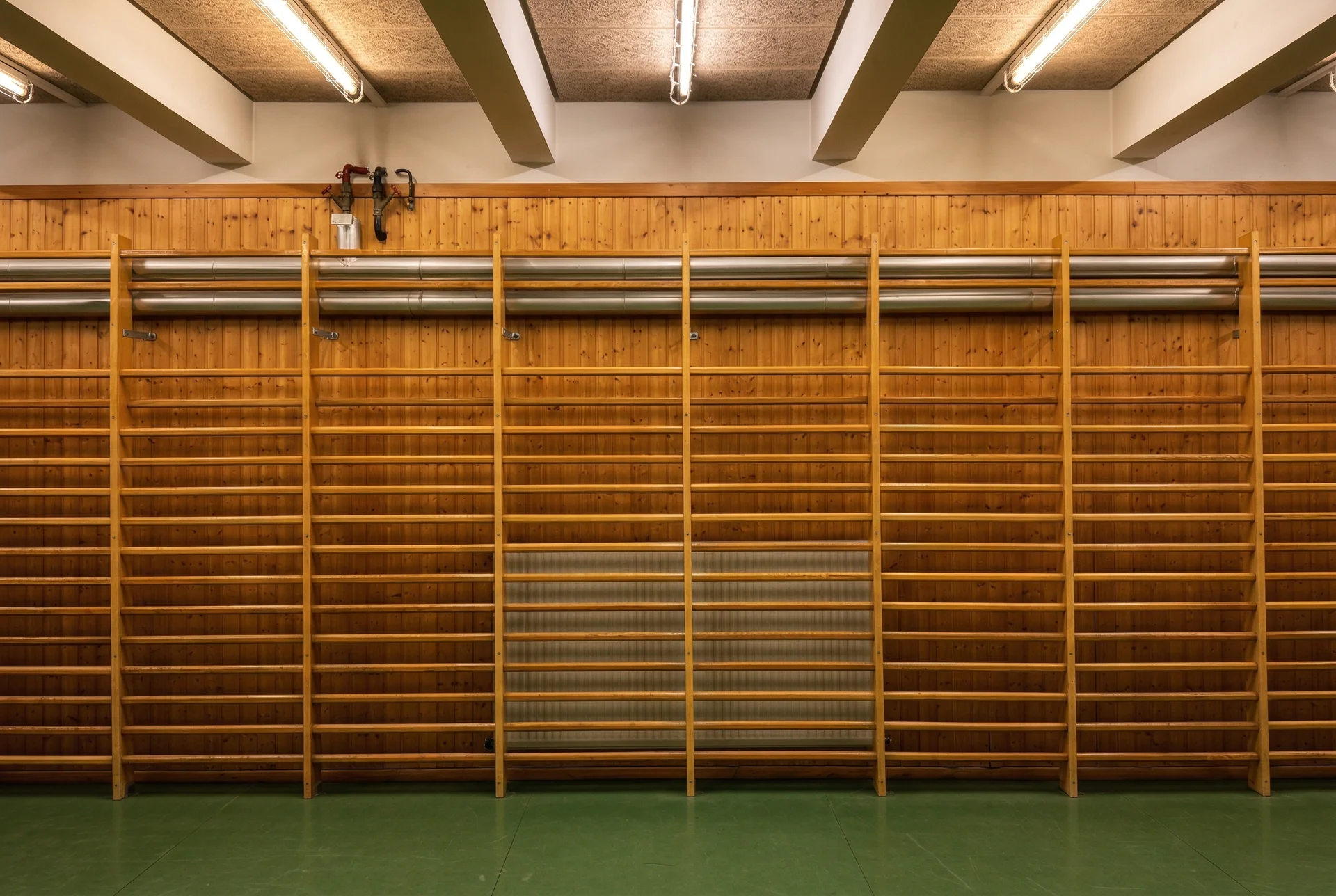 Ceiling and Wall Bars